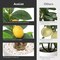 Artificial Lemon Tree with White Pot – 18” Lifelike Faux Citrus Plant for Kitchen, Bathroom, Office, or Shelf Décor, Adding a Vibrant, Year-Round Touch to Any Home or Gift Setting